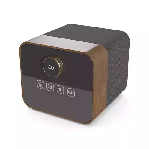 Conferencing Speakers