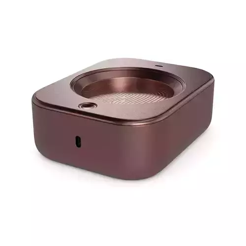 Biometric access control