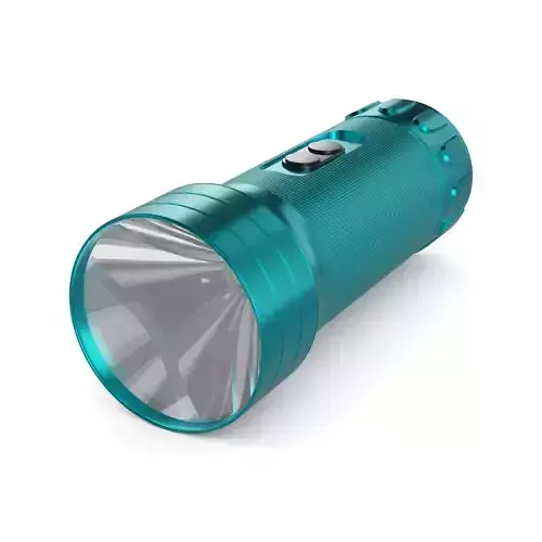Portable light
