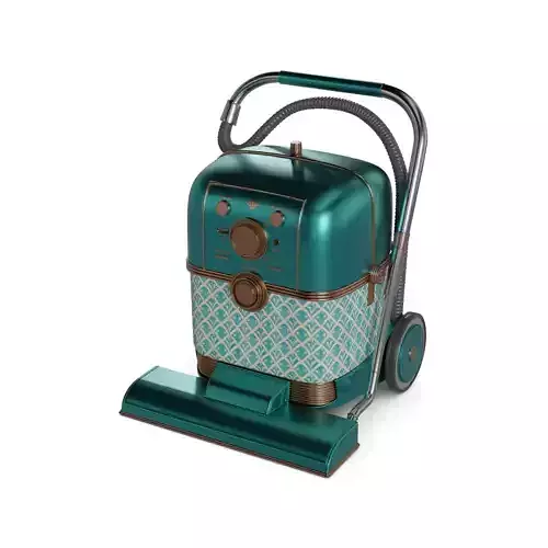 Washing vacuum cleaners