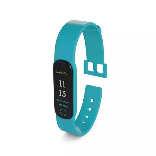 Fitness Trackers