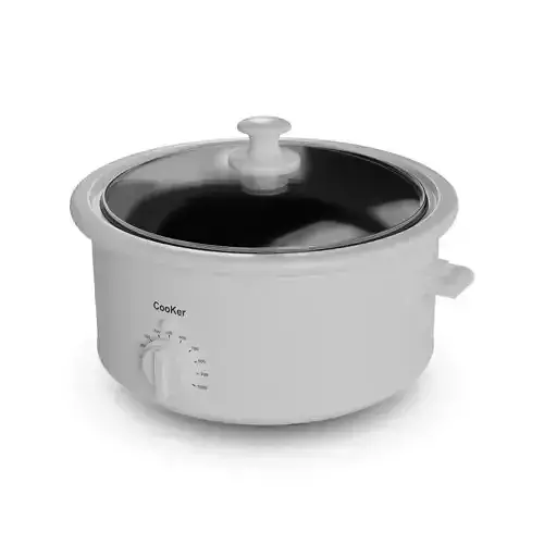 Slow Cooker