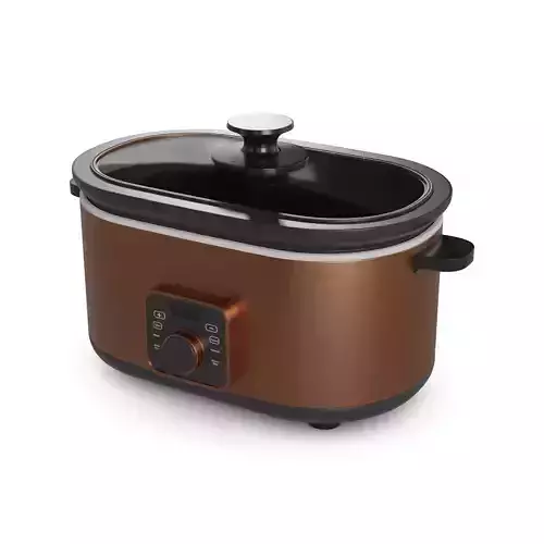 Slow Cooker