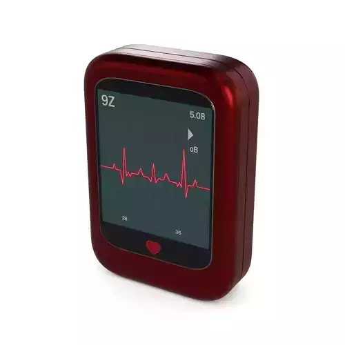 Portable EKG Monitor
