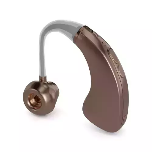 Hearing Aid