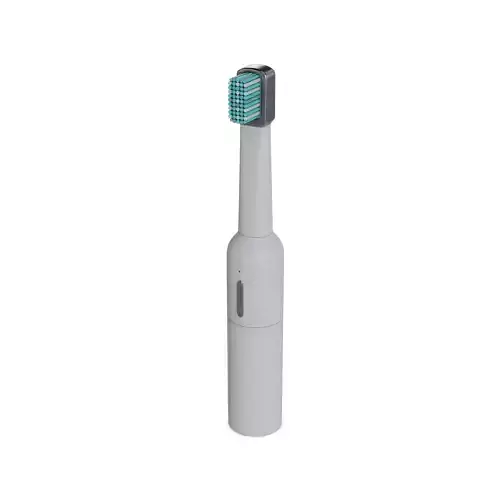 Electric toothbrush
