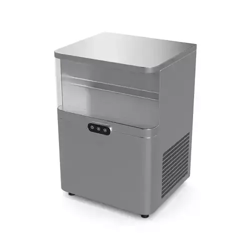 Ice maker