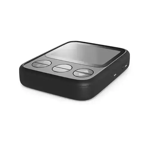 Pager 3D model