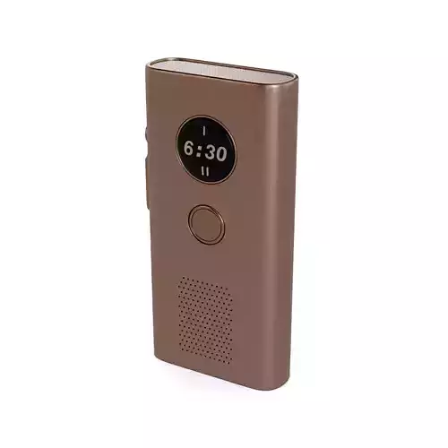 Voice recorder