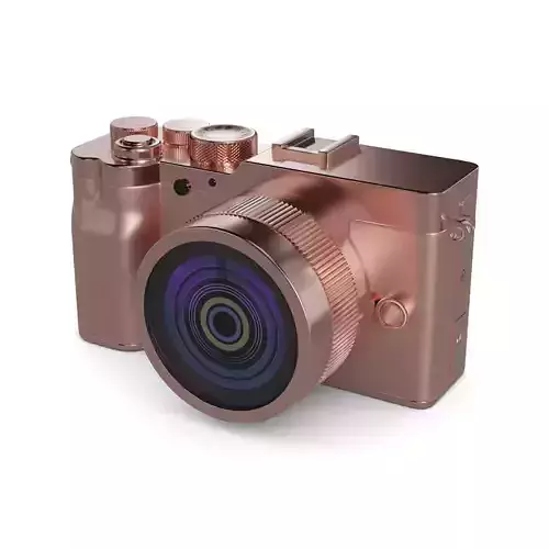 Mirrorless Camera