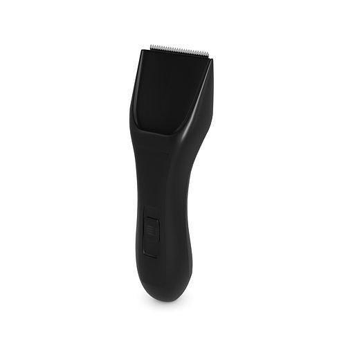 Body groomers 3D model