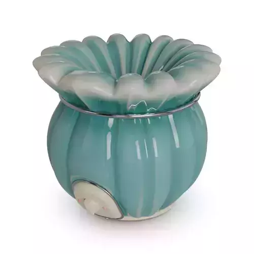 Electric Wax Warmers