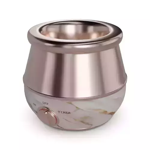 Electric Wax Warmers