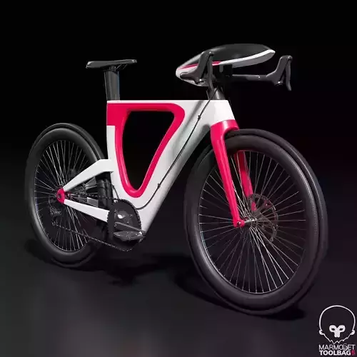 Triathlon Bike