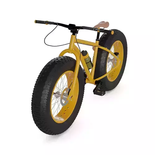 Fat Bicycle