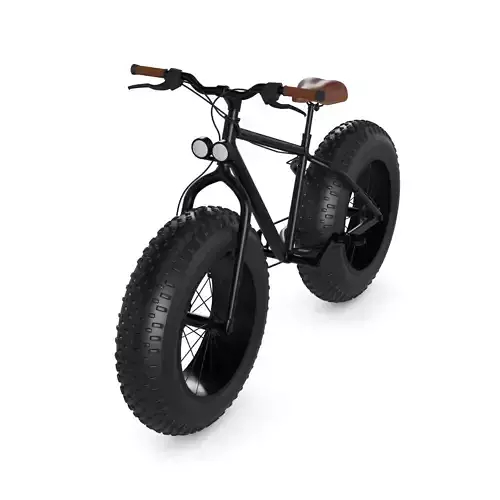 Fat Bicycle