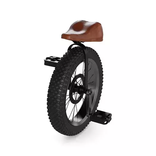 Off road Unicycle
