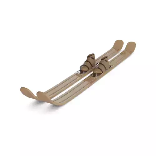 Cross Country Ski 3D model
