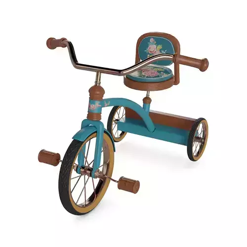 Traditional Tricycle