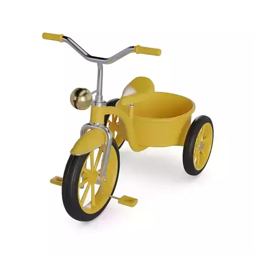 Traditional Tricycle