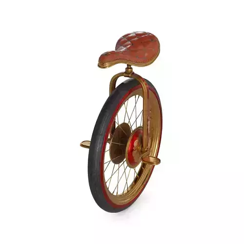 Unicycle