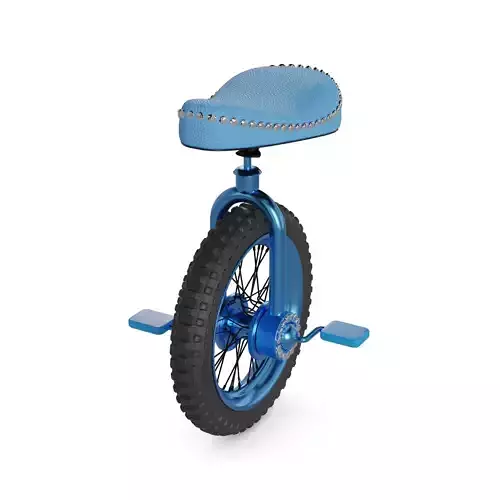 Unicycle