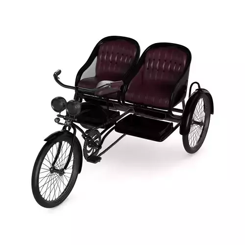 2person Classic Tricycle