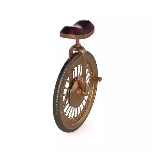 Unicycle