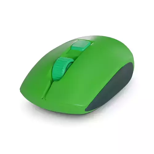 Mouse
