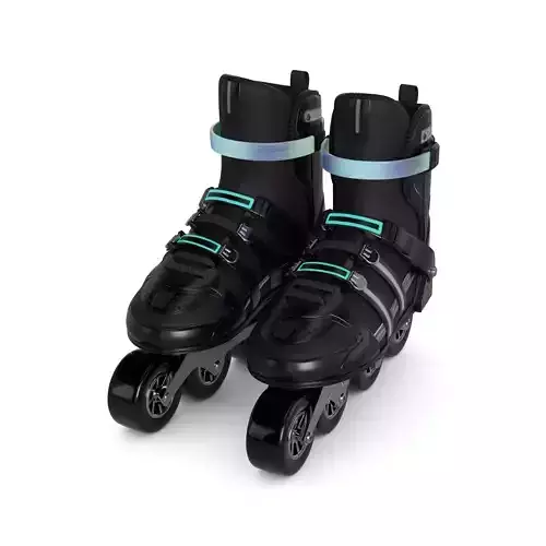 Quad Roller Skate