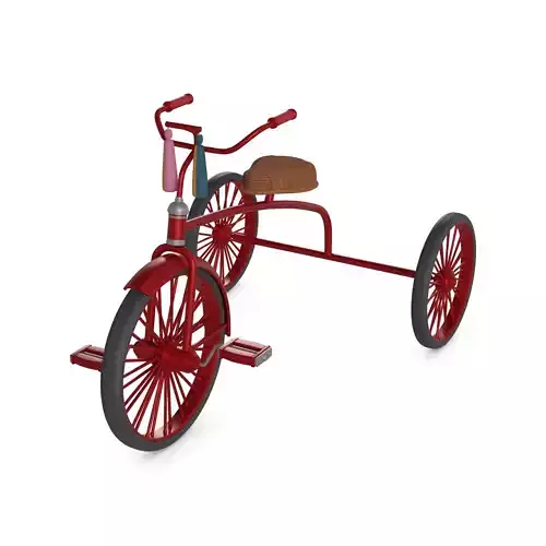 Traditional Tricycle