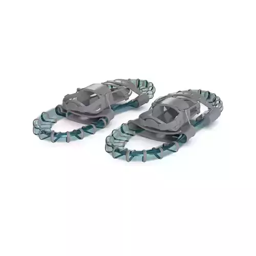 Snowshoe 3D model