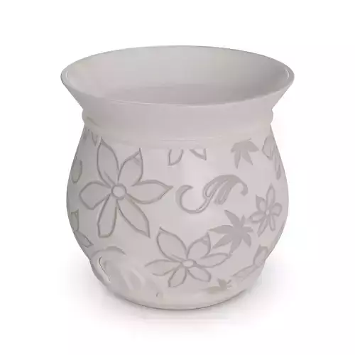 Electric Wax Warmers