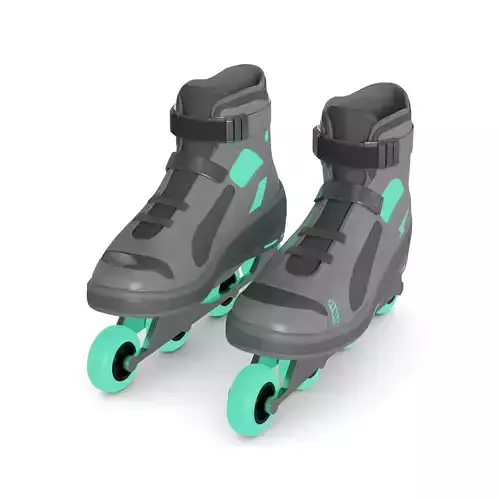 Adjustable Skate