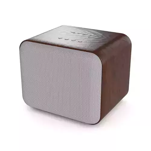 Smart speaker