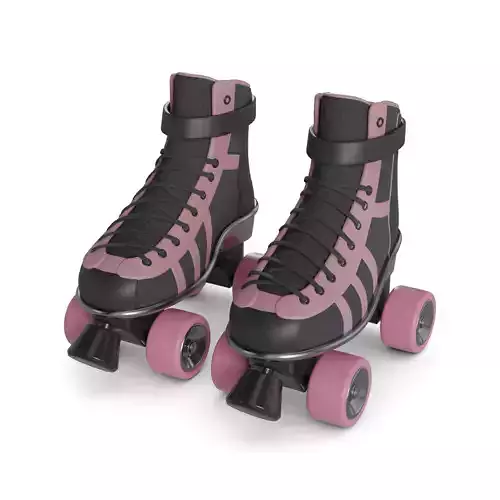 Adjustable Skate