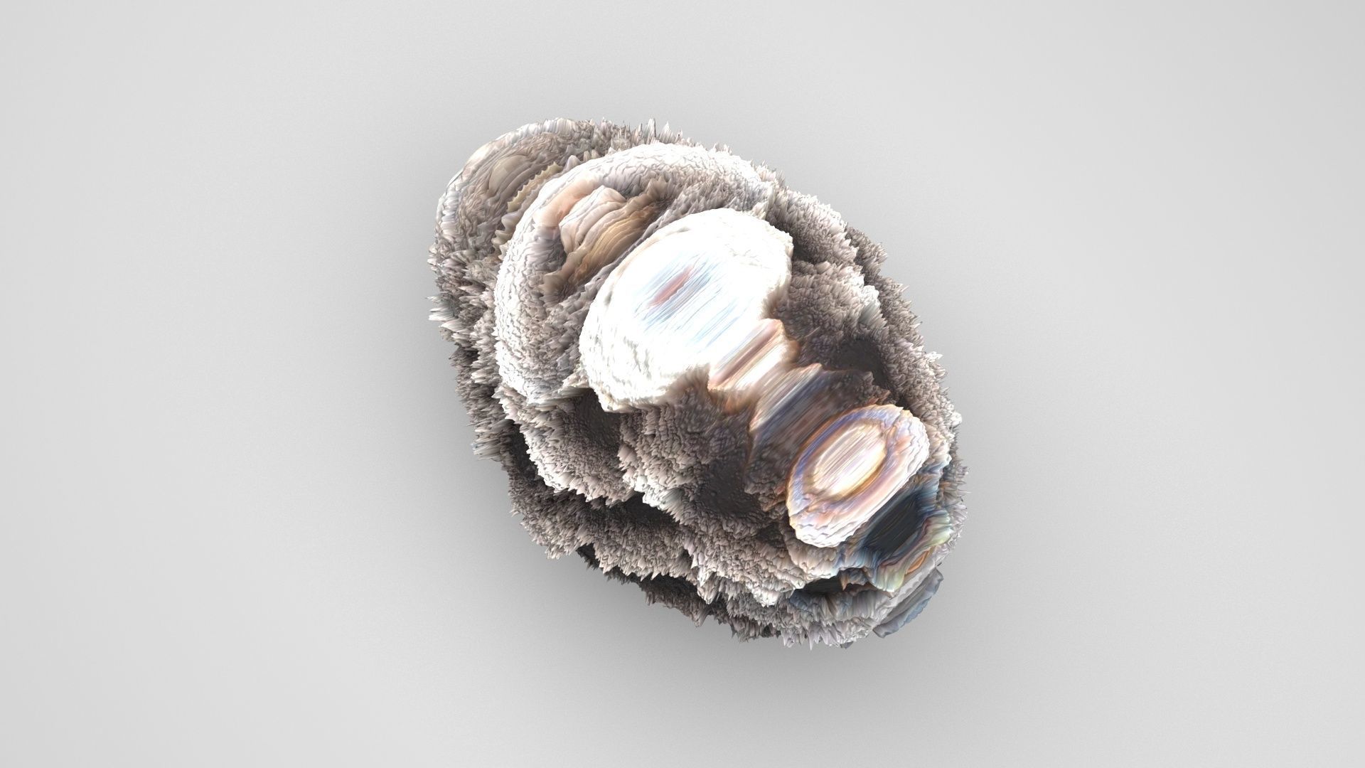 Meteorite 3D model_1