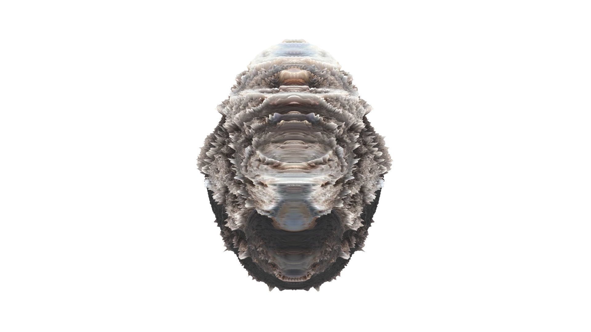 Meteorite 3D model_14