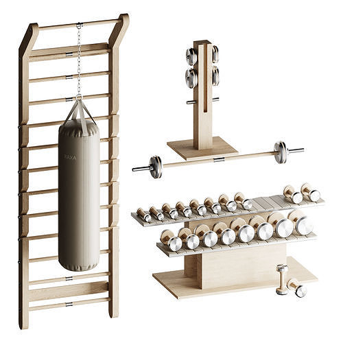 PENT luxury fitness equipment 3D model