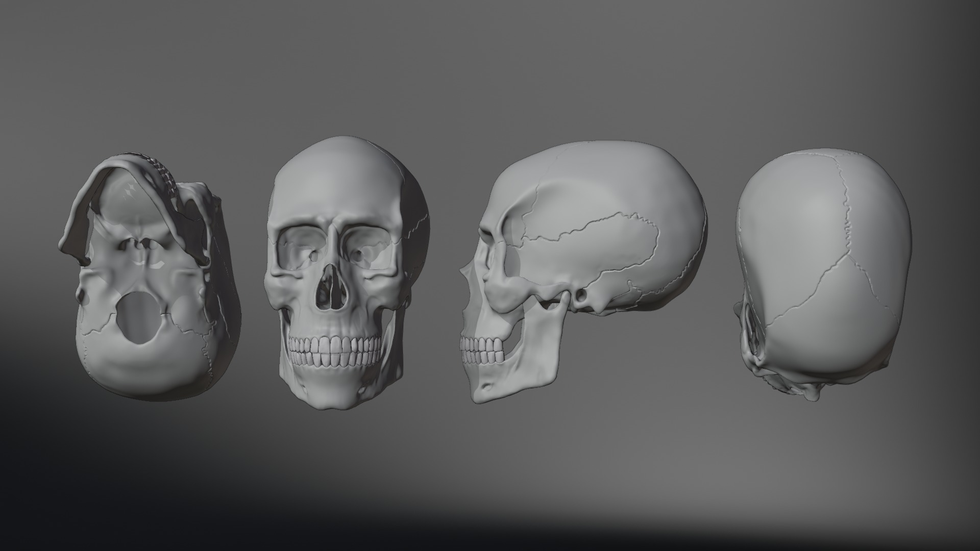 Realistic Human Skull High Poly and Low Poly Versions 3D model_16