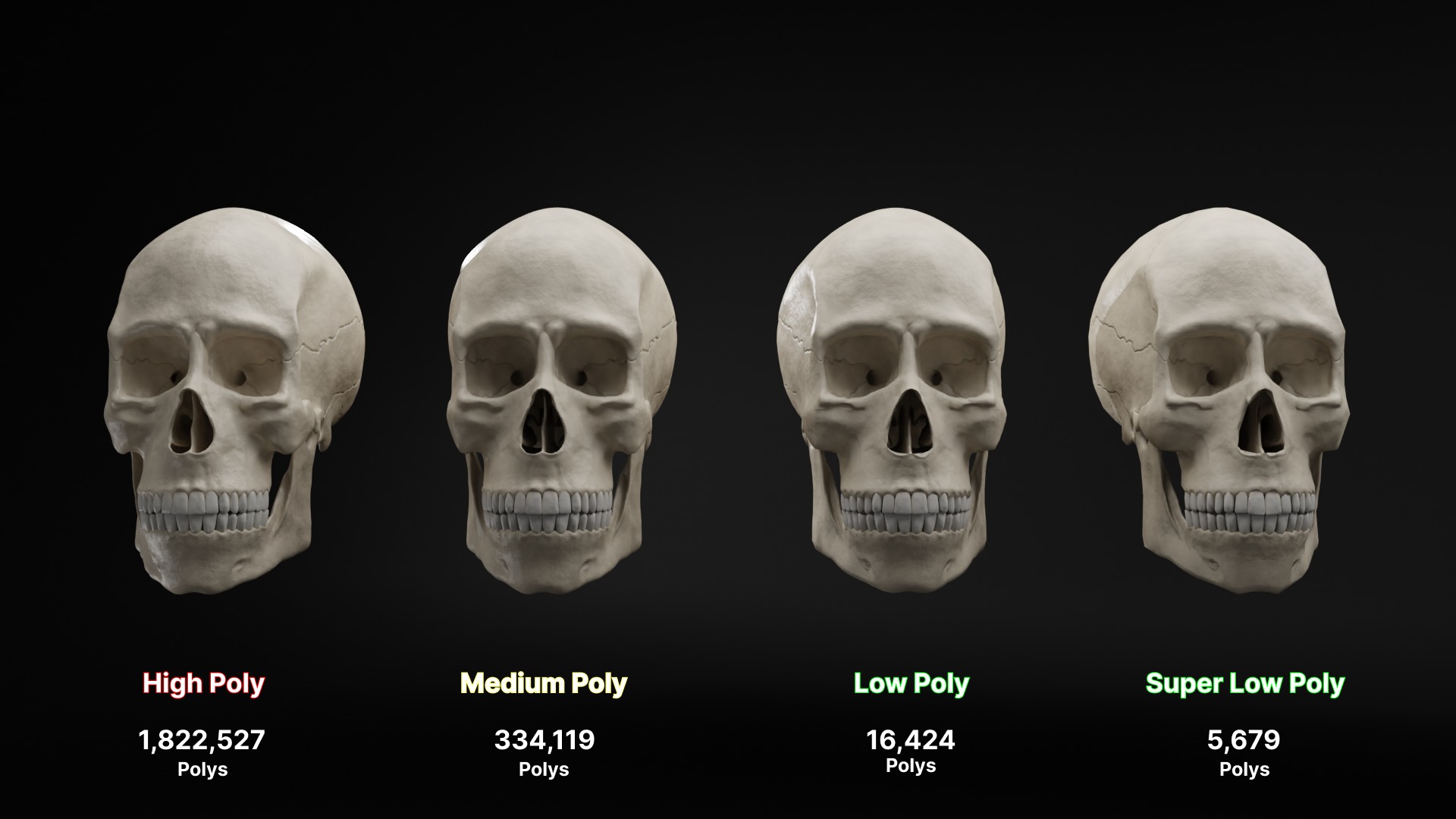 Realistic Human Skull High Poly and Low Poly Versions 3D model_7