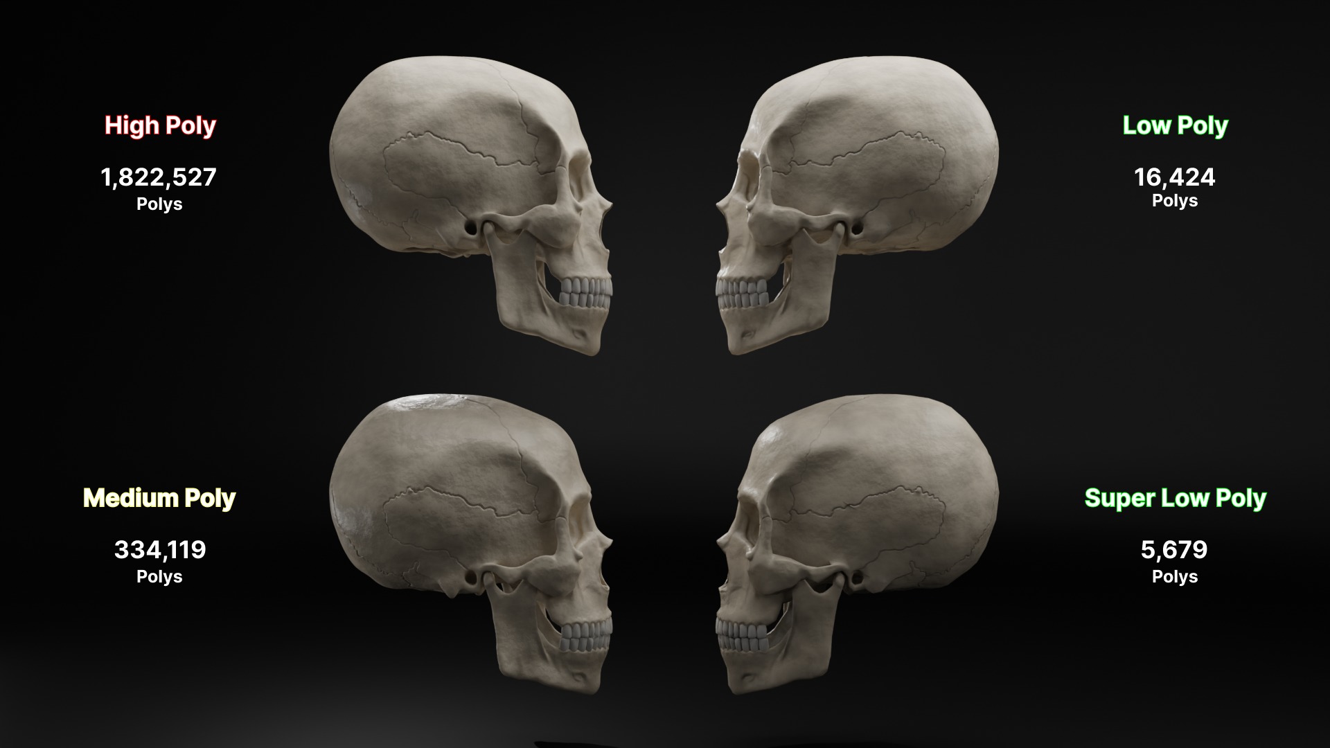 Realistic Human Skull High Poly and Low Poly Versions 3D model_8