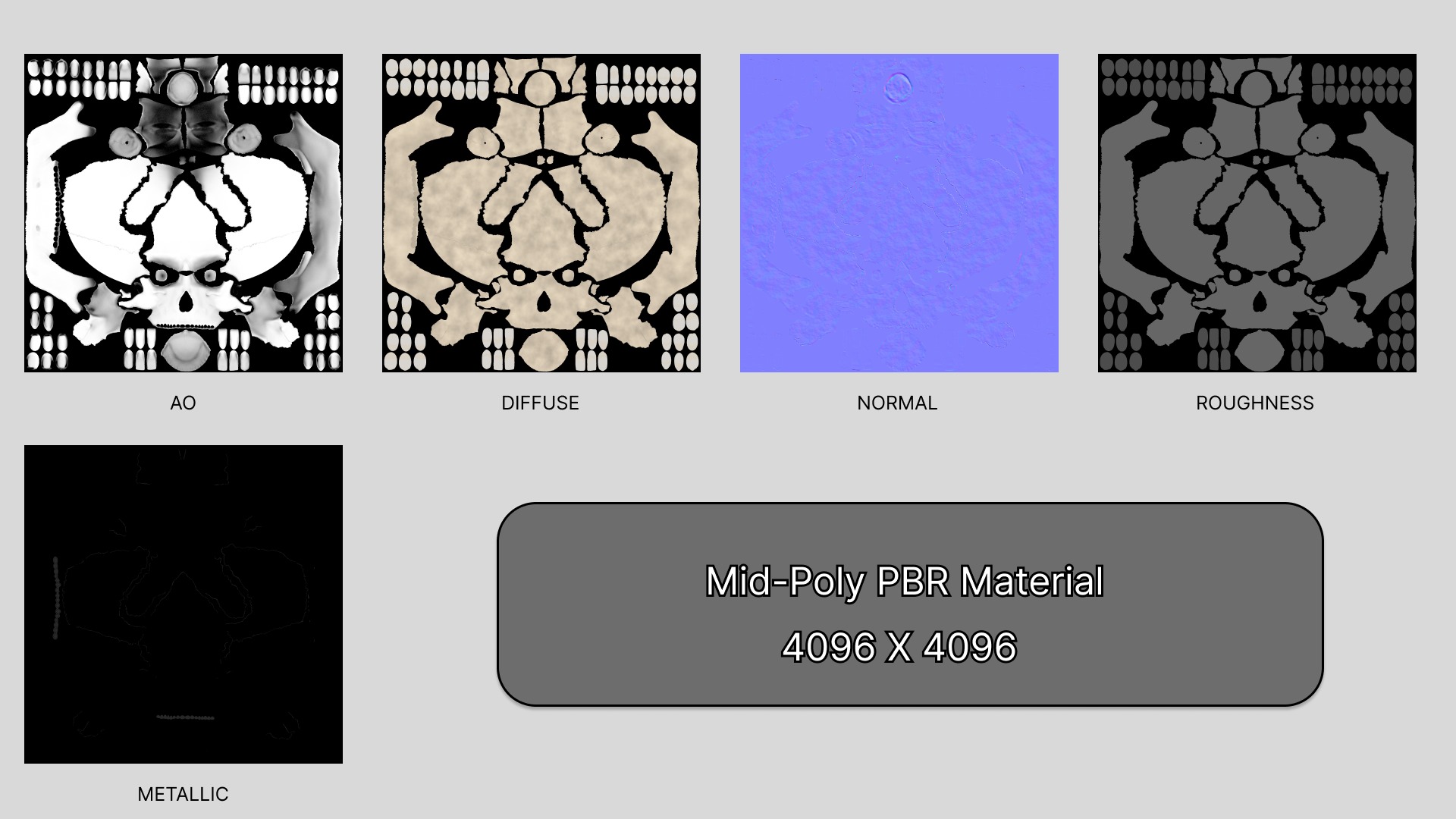 Realistic Human Skull High Poly and Low Poly Versions 3D model_18