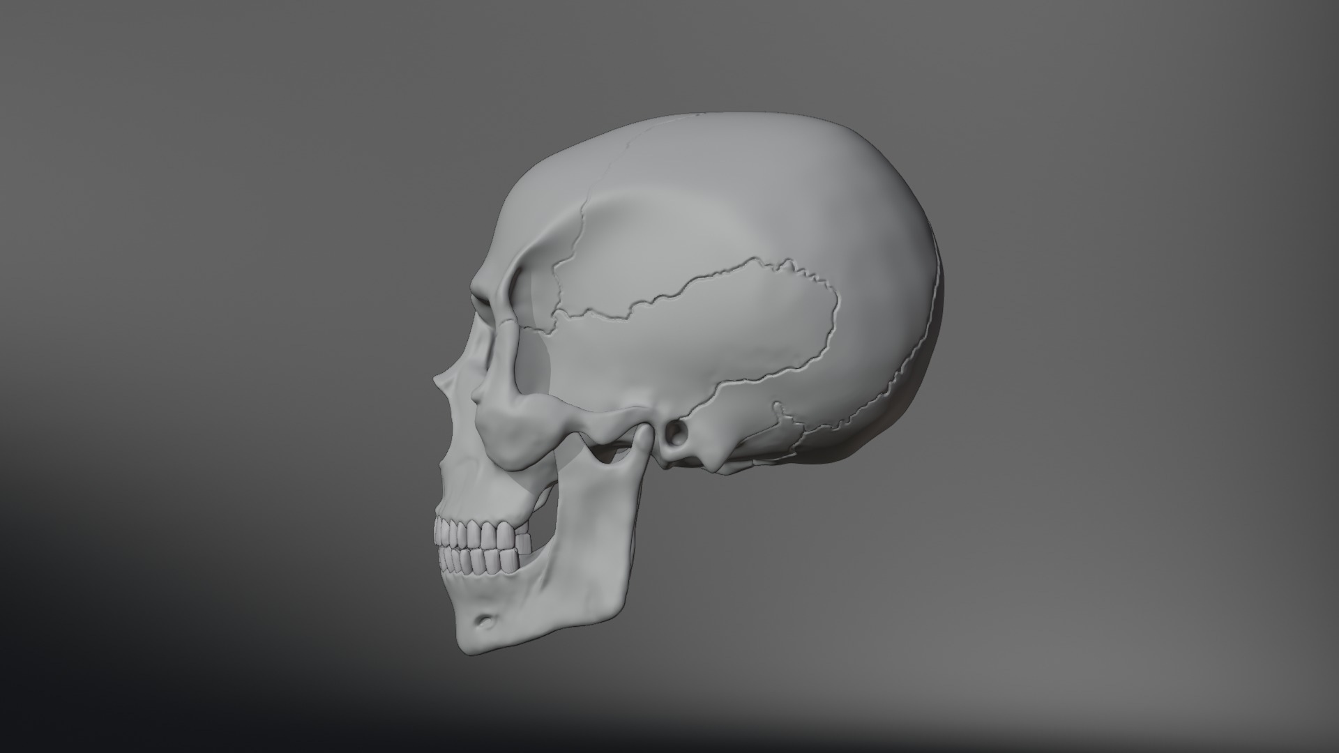 Realistic Human Skull High Poly and Low Poly Versions 3D model_15