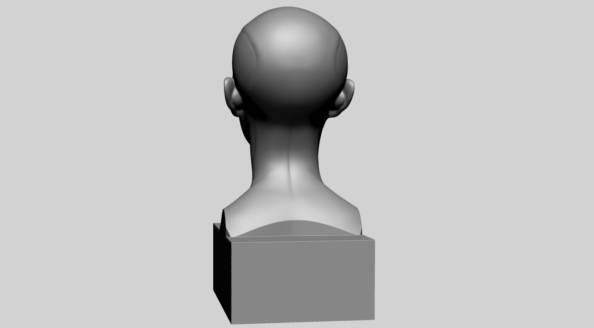 Female Head Anatomy B Printable 3D print model_5