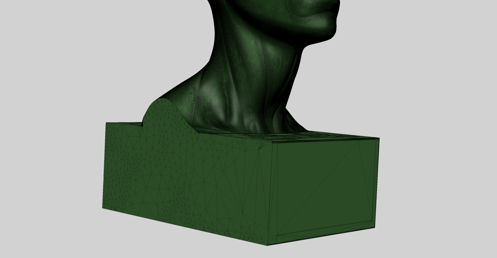 Female Head Anatomy B Printable 3D print model_11