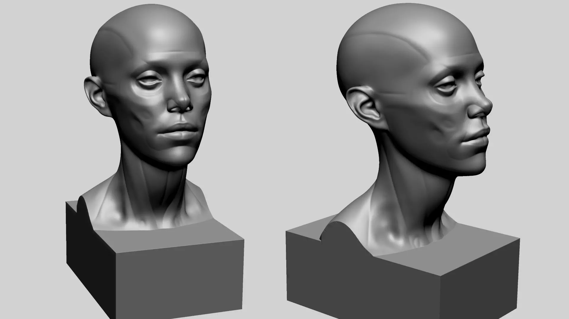 Female Head Anatomy B Printable 3D print model_0