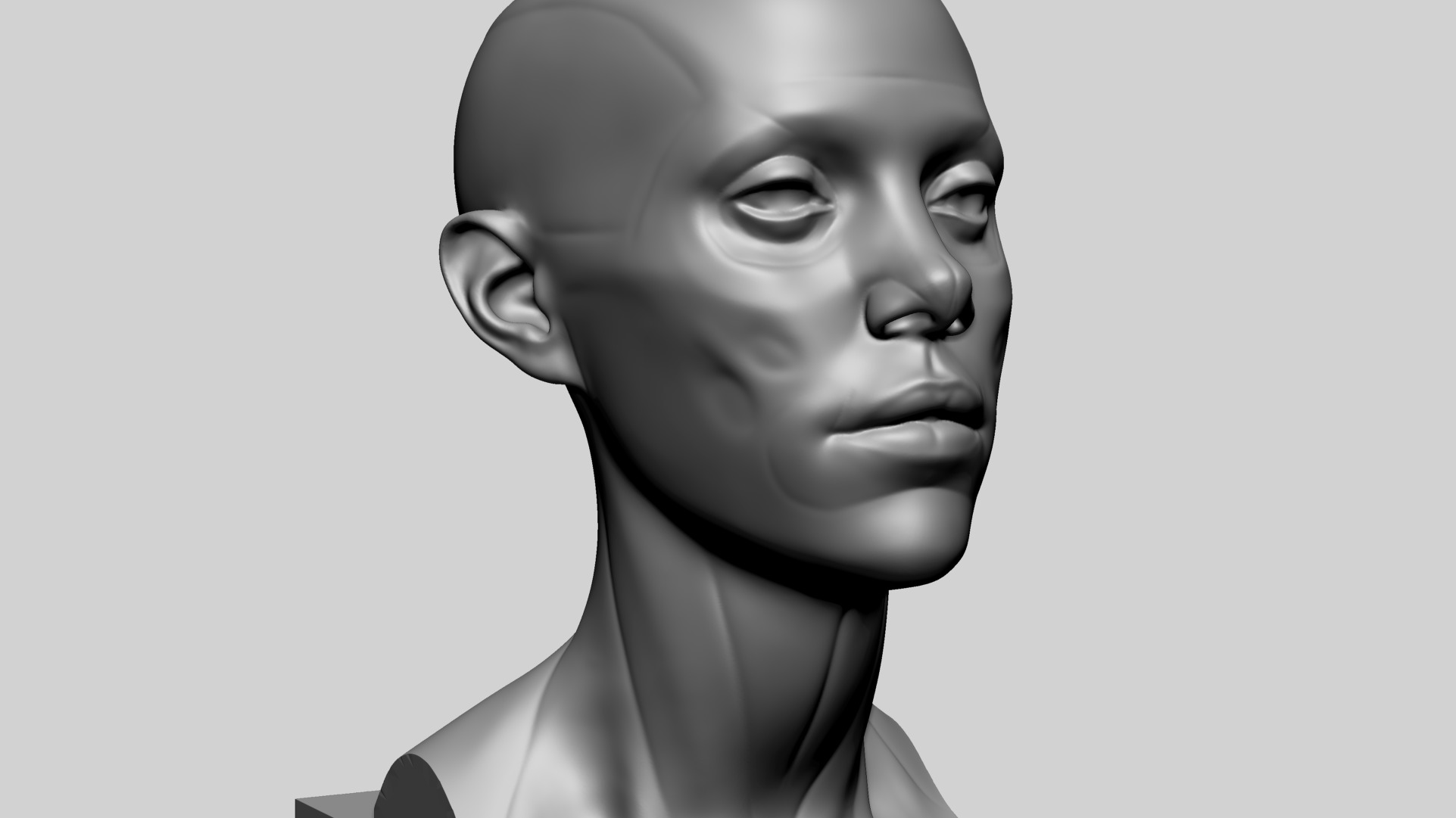 Female Head Anatomy B Printable 3D print model_9