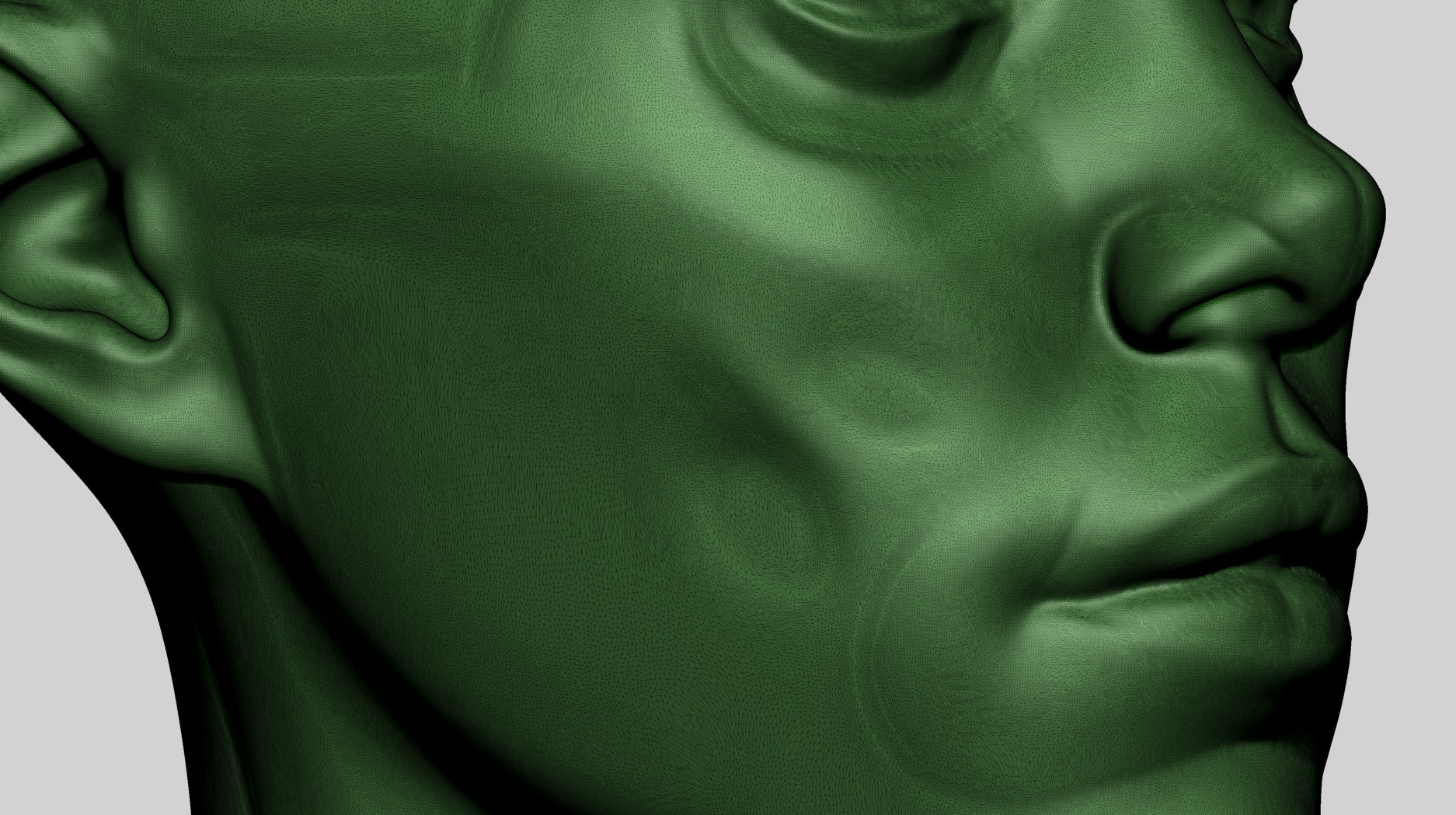 Female Head Anatomy B Printable 3D print model_10