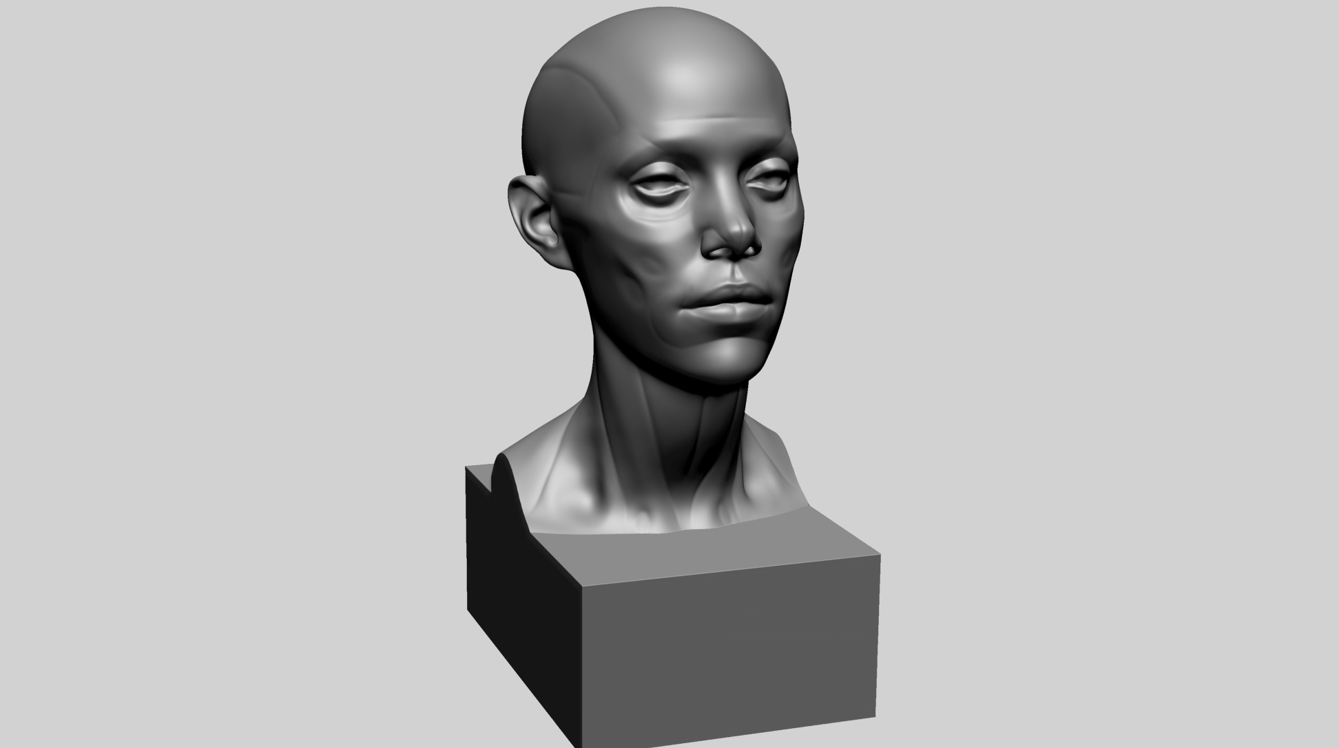 Female Head Anatomy B Printable 3D print model_1